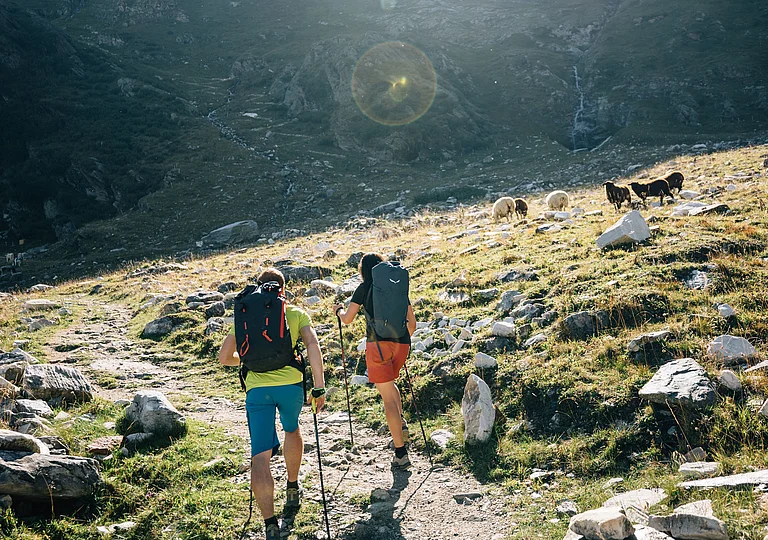 Der Meraner Höhenweg Der Meraner Höhenweg